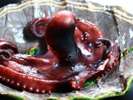 タコ湯がき◇日間賀島名物