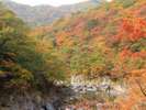 紅葉の龍王峡