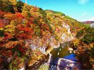 紅葉の名所。渓谷のモミジやカエデが赤や黄色に染まり、川面に映える姿は絶景。