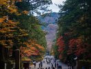 歴史と紅葉が織りなす、秋だけの贅沢時間。