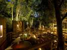 【森の散歩湯WOOD SPA】夜の散歩湯はライティングで四季の木々とお風呂を彩ります。