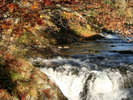 【秋の三階滝】紅葉のピークを過ぎ、川面に葉を落とす晩秋の三階滝。