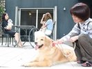 ワンちゃんと楽しく!