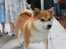 ワンちゃんと楽しく!