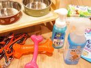 【ワンちゃんルーム専用】ワンちゃん用の貸し出しアメニティも充実♪