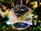 ṼANAE\LiԂ10j