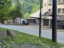 層雲峡は、こんな近くで野生のエゾシカが見れちゃう
