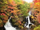 奥日光三名瀑の1つとされる竜頭の滝。勢いよく流れる様子は紅葉に彩られ、圧巻の景色です。