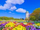 【那須野が原公園】お車で約1時間。自然豊かな公園です。アスレチック、オートキャンプ場など。