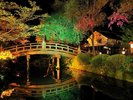 【Edo Wonder Night】美しい紅葉を背景に、夜の江戸の街並みをお楽しみください