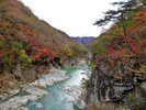 秋の龍王峡はホテルから約4キロの紅葉狩りスポット!
