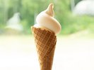 レストランメニュー(ミルク&バニラソフトクリーム)