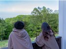 新緑を見ているだけでもととのいます!!