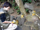 ◆シャボテン動物公園 リズザル
