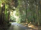【外観】天河山荘は山奥の一軒宿となります