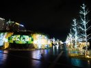 �Ă񂵂΁@�C���~�l�[�V�����@�@�ʐ^�񋟁F�i�����j���ό���