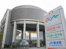 OCAT�@�@�ʐ^�񋟁F�i�����j���ό���