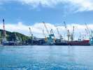 有料オプション:海から見る造船所ツアー