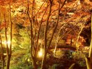 【熱海梅園】秋には紅葉も楽しめます ※当館より車で約20分