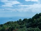 眺望 | 相模湾を一望