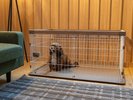 別邸 | 愛犬グッズ