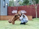 別邸 | 愛犬との旅時間