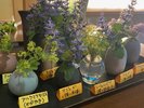 お食事処のテーブルに飾るお花には花言葉を添えて飾っています。