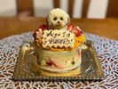 �E�y�����}�X�R�b�g�P�[�L�z�����̓��ʂȂP���ɂ������ł��傤���H(�v�\��)