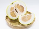 八代といえば晩白柚(ばんぺいゆ)が名産です!