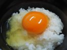 あいちの米たまごで濃厚卵かけご飯♪（イメージ）