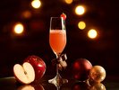 �y12/1�`25�z�|���E���C�����@�V�����p��������̃J�N�e���@���C�u�����[�o�[�u�m�[�x���o�[�v