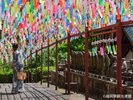 風鈴まつり(山王寺) 写真提供:福岡県観光連盟