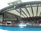 マリンワールド海の中道 写真提供:福岡県観光連盟
