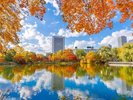 【中島公園】四季折々季節ごとに自然を楽しめます。園内には重要文化財などありお散歩コースにも最適!