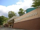 【円山動物園】動物達の姿をまじかに感じられ愛くるしい姿を見られると人気の動物園です!
