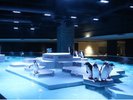 【AOAO SAPPORO】間近でペンギン達の観察や施設内にカフェもあるのでゆっくり癒される時間を過ごせます!
