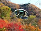 【別府ロープウェイ】別府の街並みを眼下に望みながら、四季折々の美しい自然を楽しめる空中散歩。