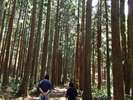 五頭温泉郷には様々なハイキングコースが。