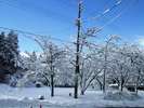 豪雪地帯ではないですが、シーズン積もって1mくらいでしょうか…