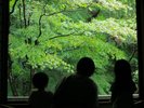 野鳥がいるかもしれないし、奥の竹やぶにカモシカがいるかも