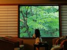 この窓から、四季折々を感じる、山の自然に包まれて。