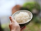 白いご飯が大好き!