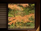 各お部屋には額縁のような大きな窓。