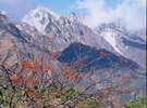*紅葉と白馬の山