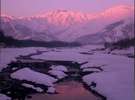 *朝焼けの五竜岳松川より望む