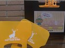 【女子】ナノスチームサウナ用うちわ