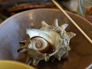 <Breakfast Buffet>【サザエつぼ焼き】