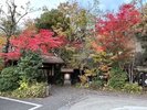 紅葉時期の山門前