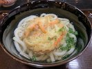 かき揚げうどん
