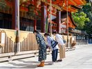 アクティビティ:祇園うるわし「朝まいり」